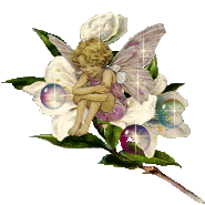 ci pour fatila mon cour